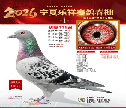 �����������116��