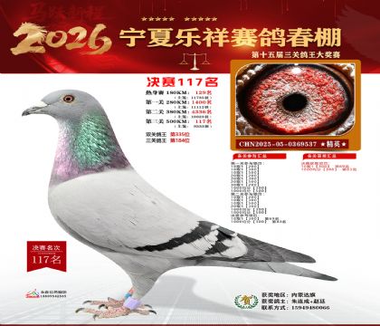 �����������117��