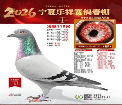 �����������118��