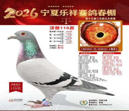 �����������119��