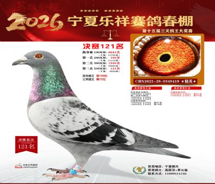 �����������121��