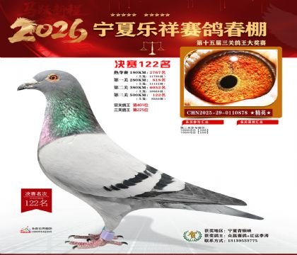 �����������122��