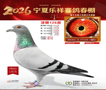 �����������126��