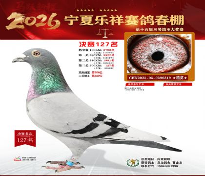 �����������127��