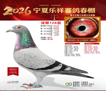 �����������128��