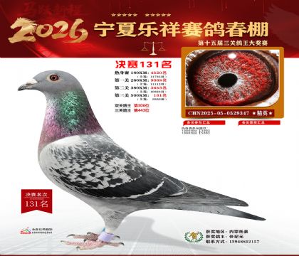 �����������131��