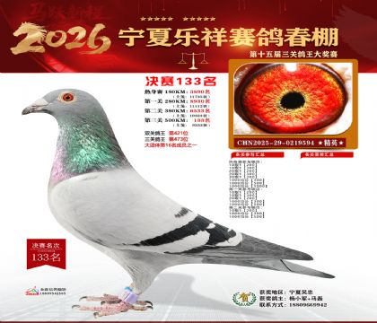 �����������133��