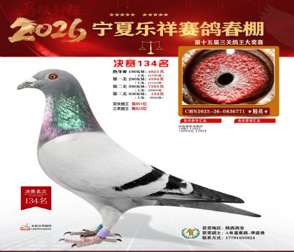 �����������134��