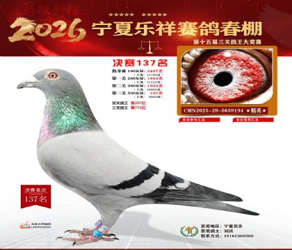 �����������137��