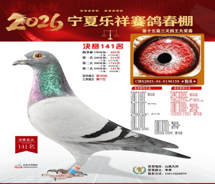 �����������141��