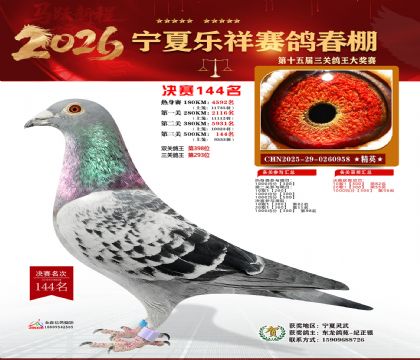 �����������144��