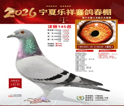 �����������145��