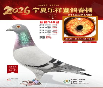 �����������146��