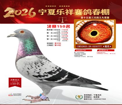 �����������150��