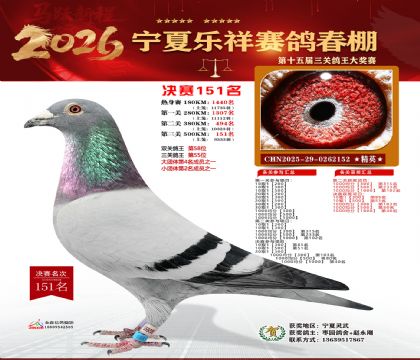 �����������151��