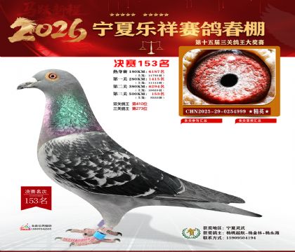 �����������153��