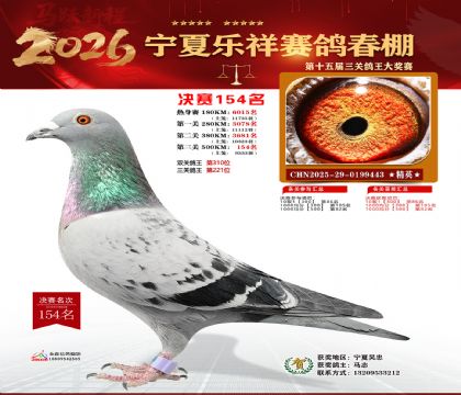 �����������154��