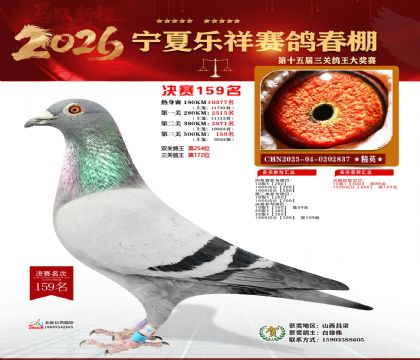 �����������159��