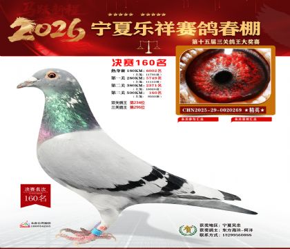 �����������160��