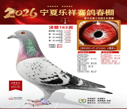 �����������163��