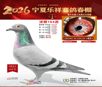 �����������164��