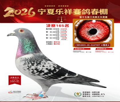 �����������165��