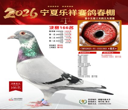 �����������166��