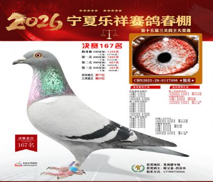 �����������167��