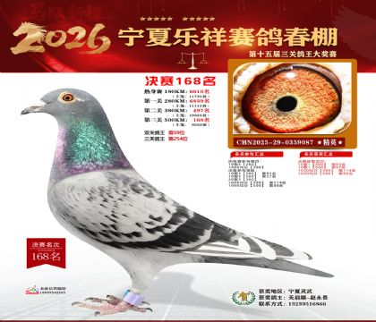 �����������168��