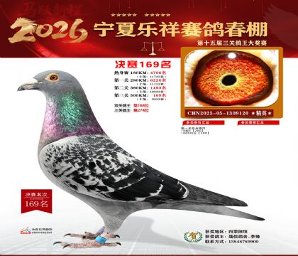 �����������169��