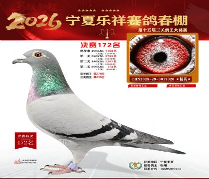 �����������172��