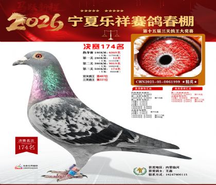 �����������174��