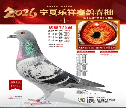 �����������175��