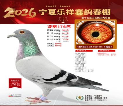 �����������176��