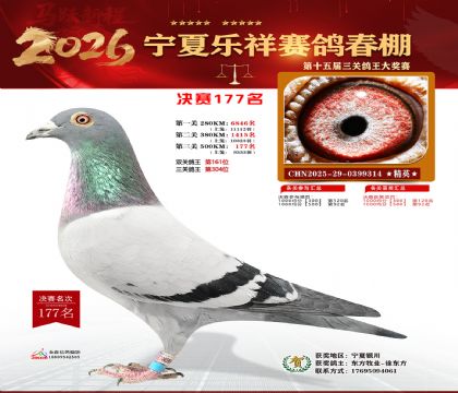 �����������177��