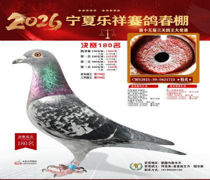 �����������180��