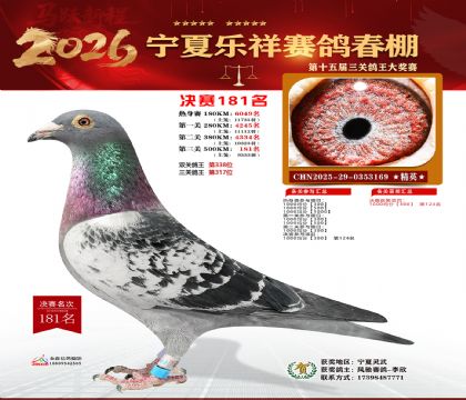 �����������181��