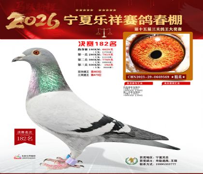 �����������182��