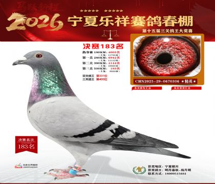 �����������183��