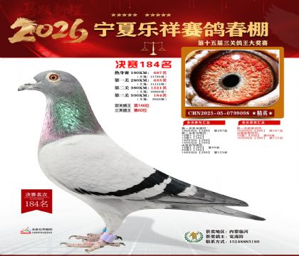 �����������184��