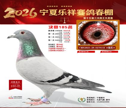 �����������185��