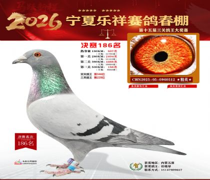 �����������186��