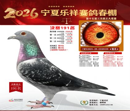 �����������191��