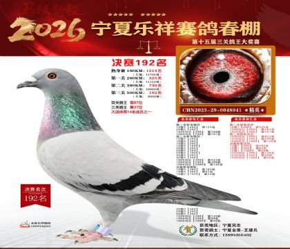 �����������192��