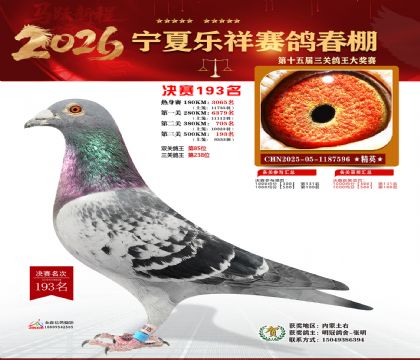 �����������193��