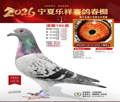 �����������195��