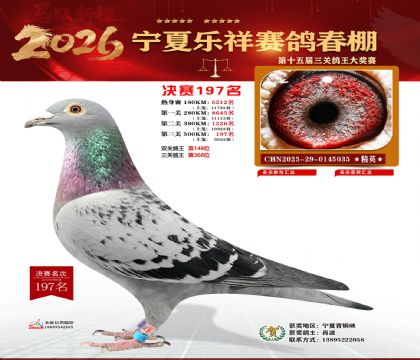 �����������197��