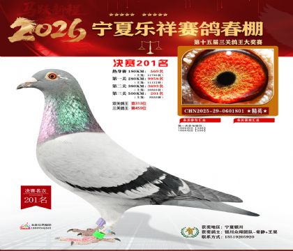 �����������201��