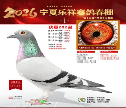 �����������202��