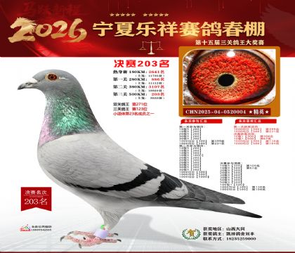 �����������203��